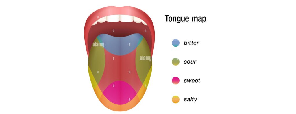 Foods We Hate — But Later Start Loving (Science Explains Why)