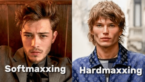 Looksmaxxing Uncovered: The Subculture of Appearance, Psychology, and Viral Fails 1 Looksmaxxing Uncovered: The Subculture of Appearance, Psychology, and Viral Fails