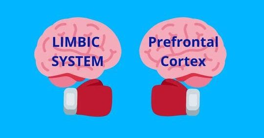 "The Frozen Mind": The Brutal Neuroscience of Why You Can't Start (Even When You Want To) in 2026