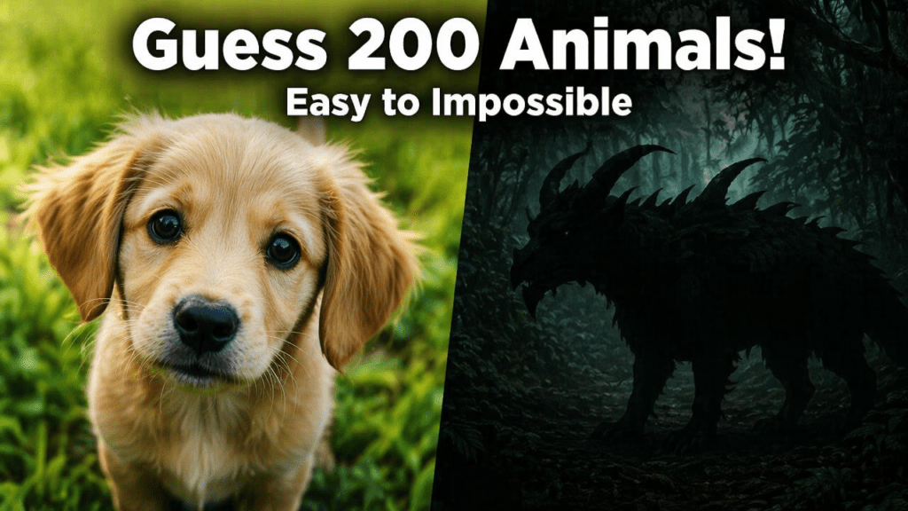 Guess 200 Animals in 3 Seconds!