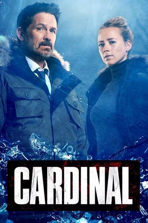 Scandinavian Noir and Beyond: 9 Dark Detective Series With an Unforgettable Atmosphere