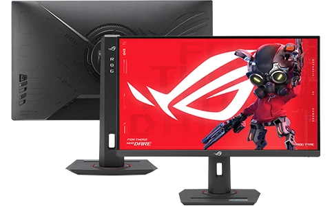 Top-5 Best IPS Monitors in 2026: From Budget to Premium